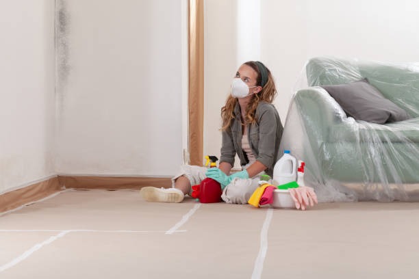 Reliable Black Mold Remediation contractor in Stone Ridge, VA by 24 Hour Mold Removal
